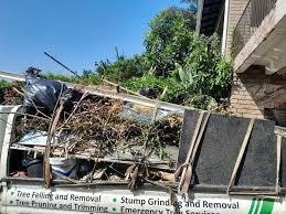 Best Attic Cleanout  in Atwood, KS
